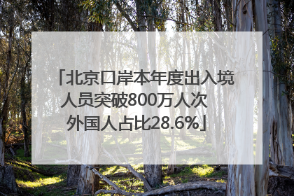北京口岸本年度出入境人员突破800万人次 外国人占比28.6%