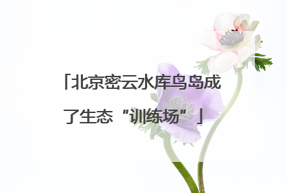 北京密云水库鸟岛成了生态“训练场”