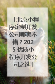 北京小程序定制开发公司哪家不错？2025 优质小程序开发公司之选