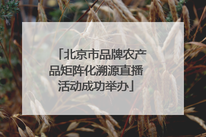 北京市品牌农产品矩阵化溯源直播活动成功举办
