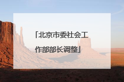 北京市委社会工作部部长调整