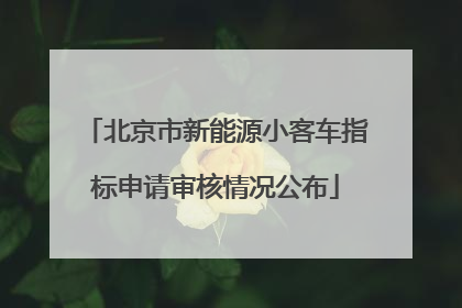北京市新能源小客车指标申请审核情况公布