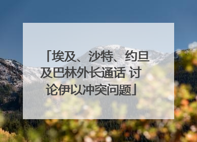 埃及、沙特、约旦及巴林外长通话 讨论伊以冲突问题