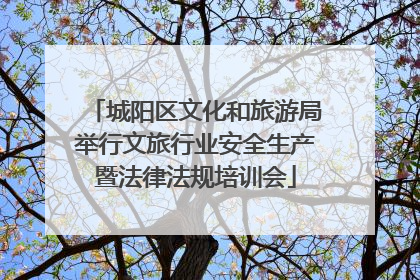 城阳区文化和旅游局举行文旅行业安全生产暨法律法规培训会