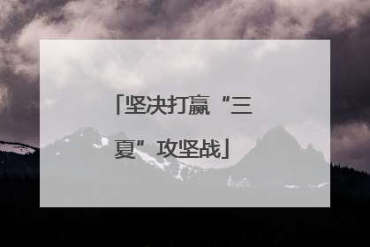 坚决打赢“三夏”攻坚战