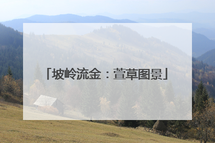 坡岭流金：萱草图景