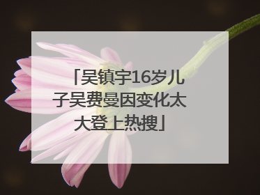 吴镇宇16岁儿子吴费曼因变化太大登上热搜