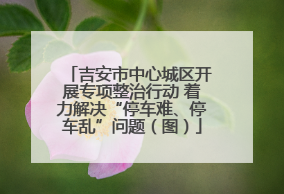 吉安市中心城区开展专项整治行动 着力解决“停车难、停车乱”问题（图）