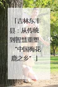 吉林东丰县：从传统到智慧重塑“中国梅花鹿之乡”