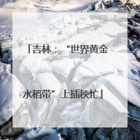 吉林：“世界黄金水稻带”上插秧忙