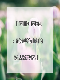 同胞·同袍：跨越海峡的抗战记忆