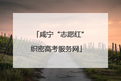 咸宁“志愿红”织密高考服务网