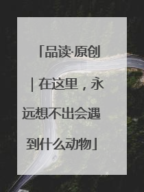 品读·原创｜在这里，永远想不出会遇到什么动物