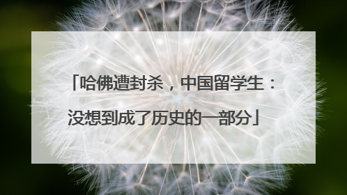 哈佛遭封杀，中国留学生：没想到成了历史的一部分