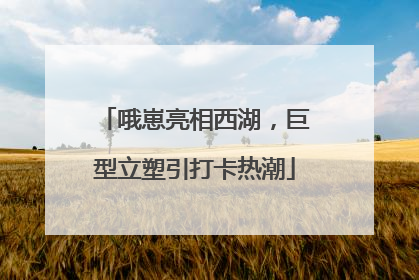 哦崽亮相西湖，巨型立塑引打卡热潮