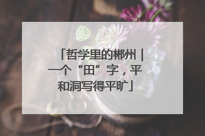哲学里的郴州｜一个“田”字，平和洞写得平旷