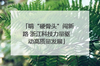 啃“硬骨头”闯新路 浙江科技力量驱动高质量发展