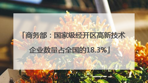 商务部：国家级经开区高新技术企业数量占全国的18.3%