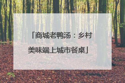 商城老鸭汤：乡村美味端上城市餐桌