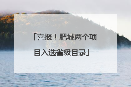 喜报！肥城两个项目入选省级目录
