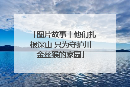 图片故事丨他们扎根深山 只为守护川金丝猴的家园