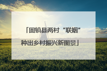 固镇县两村“联姻”种出乡村振兴新图景
