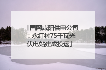 国网咸阳供电公司：永红村75千瓦光伏电站建成投运