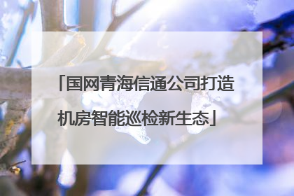 国网青海信通公司打造机房智能巡检新生态