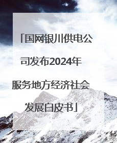 国网银川供电公司发布2024年服务地方经济社会发展白皮书