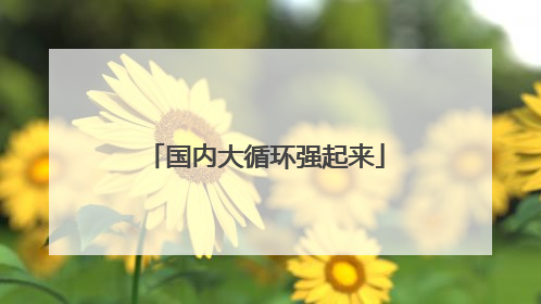 国内大循环强起来