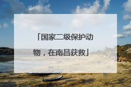 国家二级保护动物，在南昌获救