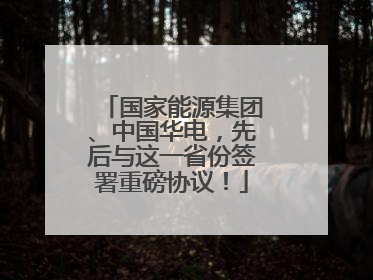 国家能源集团、中国华电，先后与这一省份签署重磅协议！