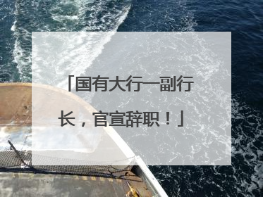 国有大行一副行长，官宣辞职！
