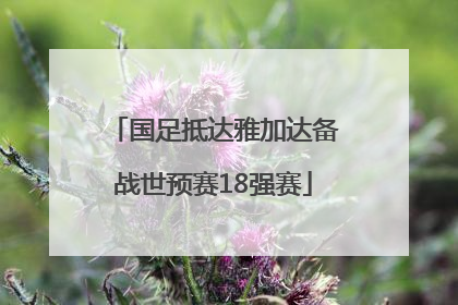 国足抵达雅加达备战世预赛18强赛
