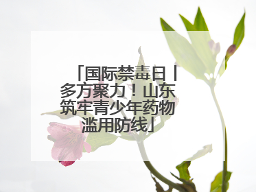 国际禁毒日丨多方聚力！山东筑牢青少年药物滥用防线