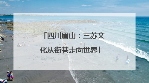 四川眉山：三苏文化从街巷走向世界