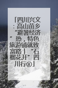 四川兴文：高山苗乡“避暑经济”热，特色旅游铺就致富路丨“石榴花开”四川行⑧