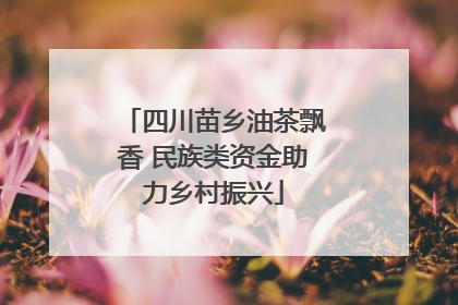 四川苗乡油茶飘香 民族类资金助力乡村振兴