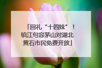 回礼“十四妹”！镇江句容茅山对湖北黄石市民免费开放