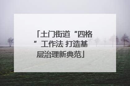 土门街道“四格”工作法 打造基层治理新典范
