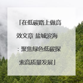 在低碳路上做高效文章 盐城滨海：聚焦绿色低碳探索高质量发展