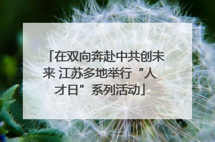 在双向奔赴中共创未来 江苏多地举行“人才日”系列活动