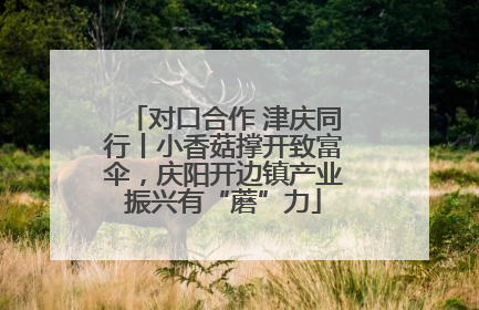 对口合作 津庆同行丨小香菇撑开致富伞，庆阳开边镇产业振兴有“蘑”力