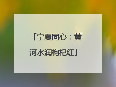 宁夏同心：黄河水润枸杞红