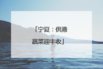 宁夏：供港蔬菜迎丰收
