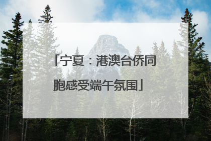宁夏：港澳台侨同胞感受端午氛围