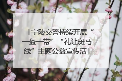 宁陵交警持续开展“一盔一带”“礼让斑马线”主题公益宣传活