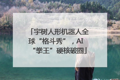 宇树人形机器人全球“格斗秀”，AI“拳王”硬核破圈