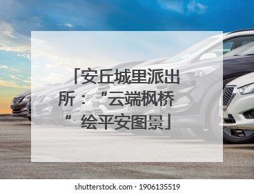 安丘城里派出所：“云端枫桥”绘平安图景