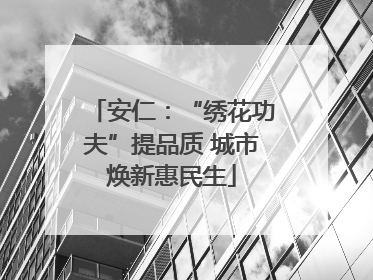 安仁：“绣花功夫”提品质 城市焕新惠民生